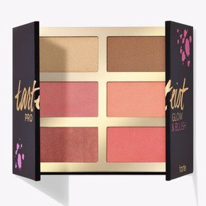 NEW! Tarteist Pro Glow & Blush Cheek Palette